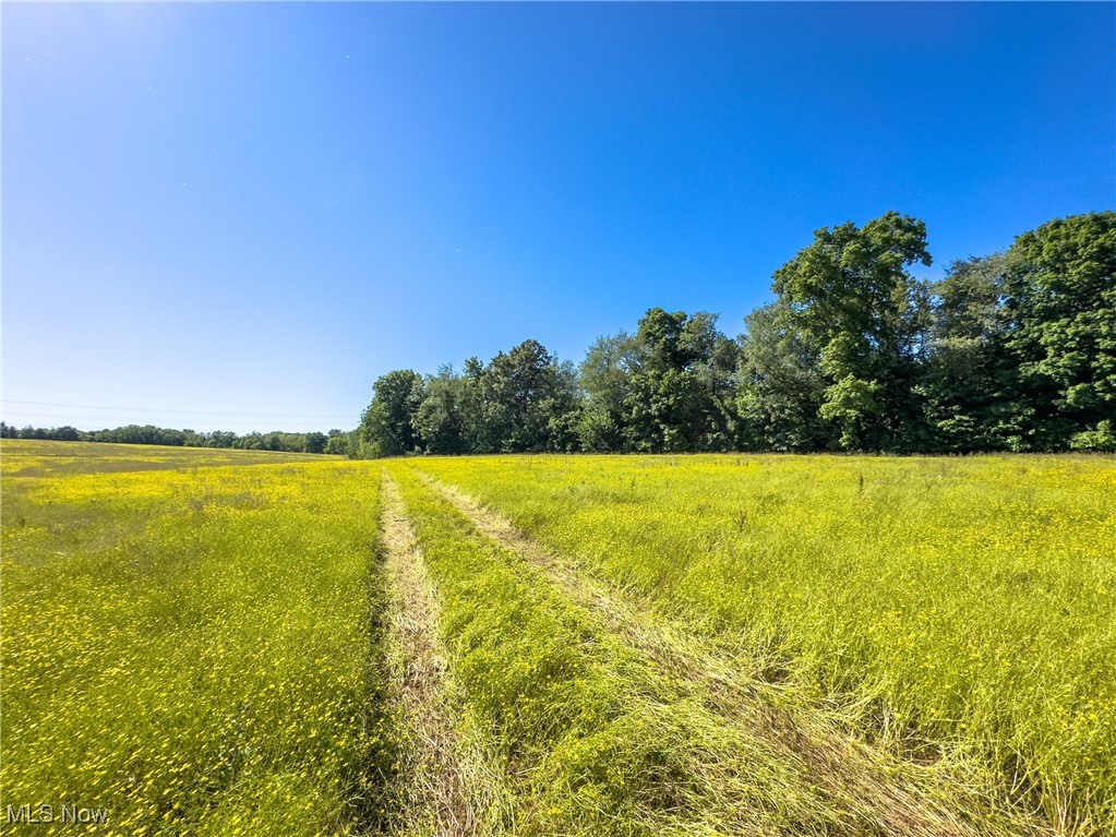 0 Taylor Road Doylestown, OH 44230 - Photo 4 of 22 View of nature featuring a rural view
