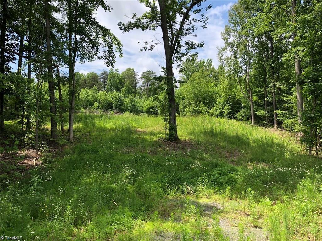 Partially-cleared section surrounded by woods.