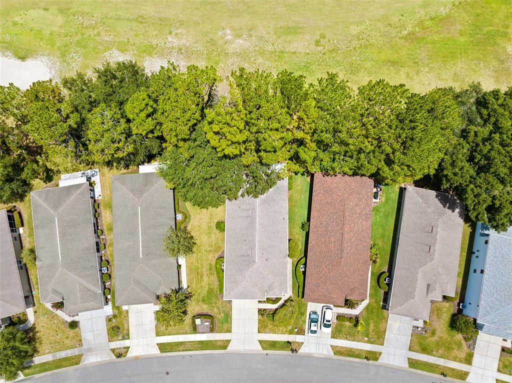 14425 Sterling Run Spring Hill, FL 34609 - Photo 8 of 66