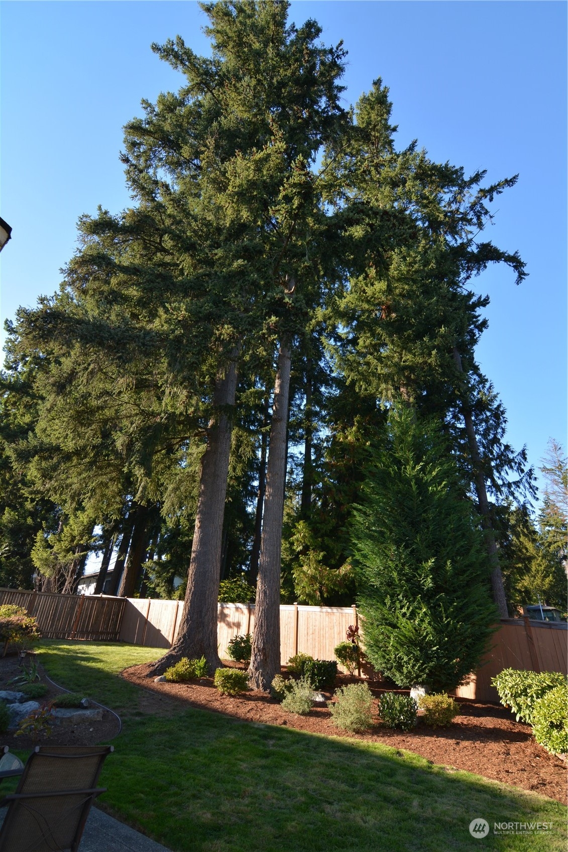 21 233rd Place Southeast Bothell, WA 98021 - Photo 30 of 33 a view of a park with large trees