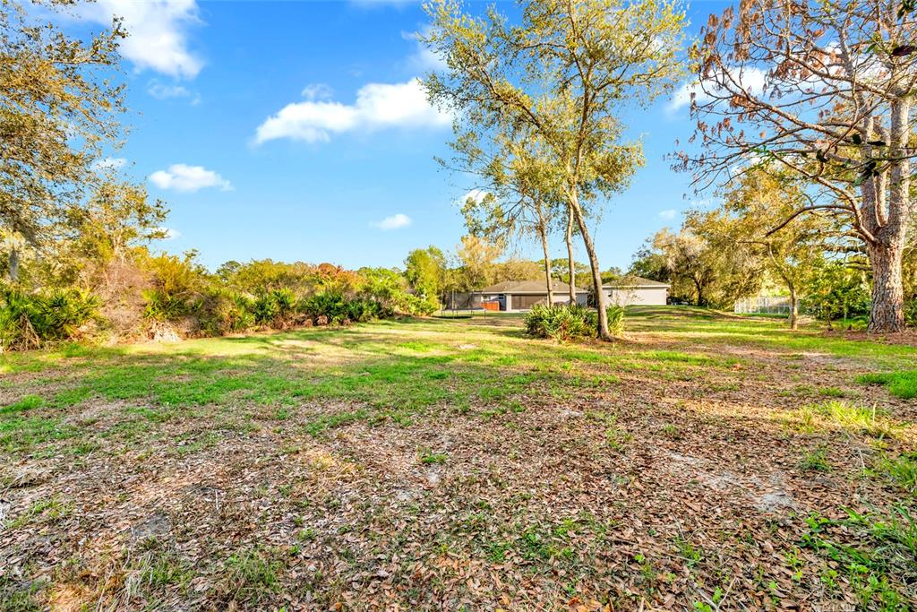 1811 Butch Cassidy Trail Wimauma, FL 33598 - Photo 43 of 55