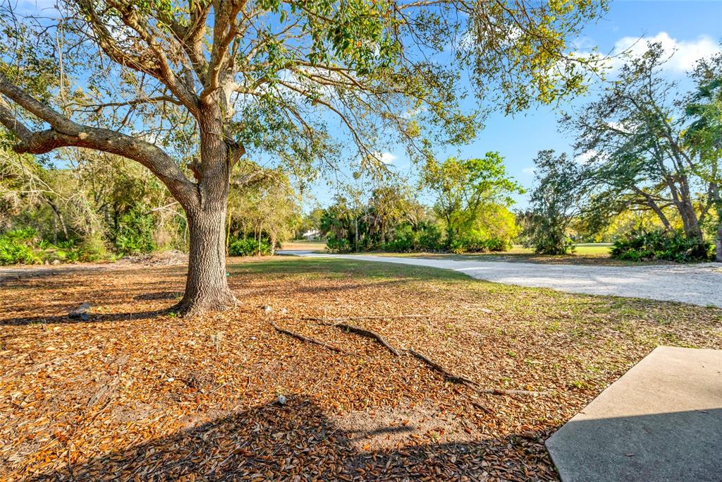 1811 Butch Cassidy Trail Wimauma, FL 33598 - Photo 8 of 55