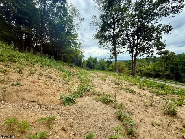 a view of a yard with trees