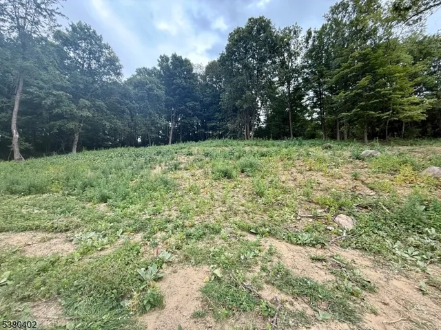 a view of backyard with green space