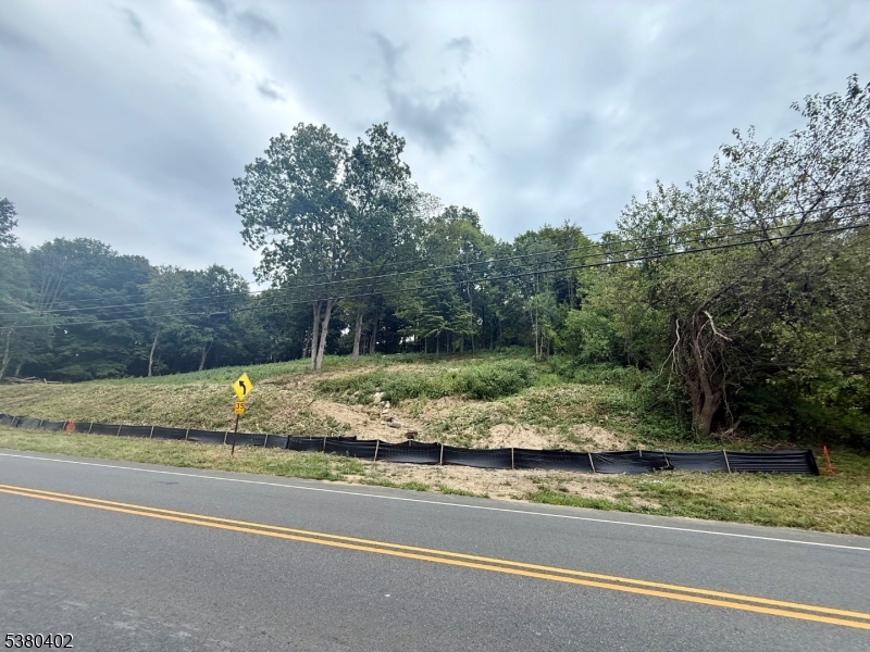 109 Munsonhurst Road Franklin, NJ 07416 - Photo 3 of 16 a view of a yard with large trees