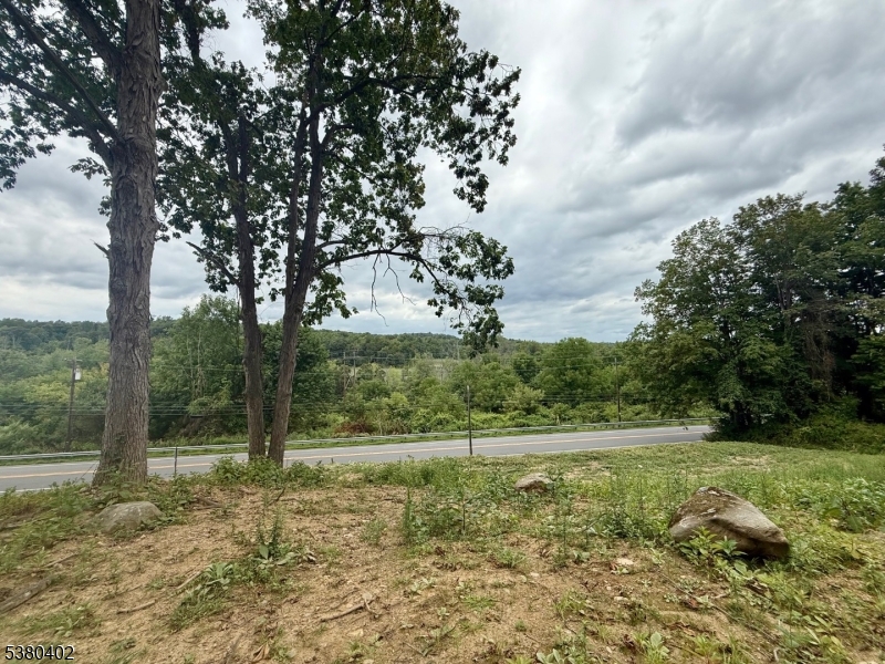 109 Munsonhurst Road Franklin, NJ 07416 - Photo 10 of 16 a view of a field with trees
