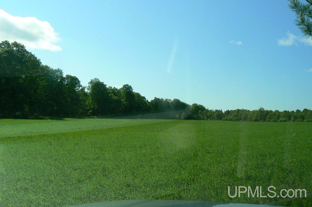 Tbd North Samuelson Road Chatham, MI 49816 - Photo 6 of 10