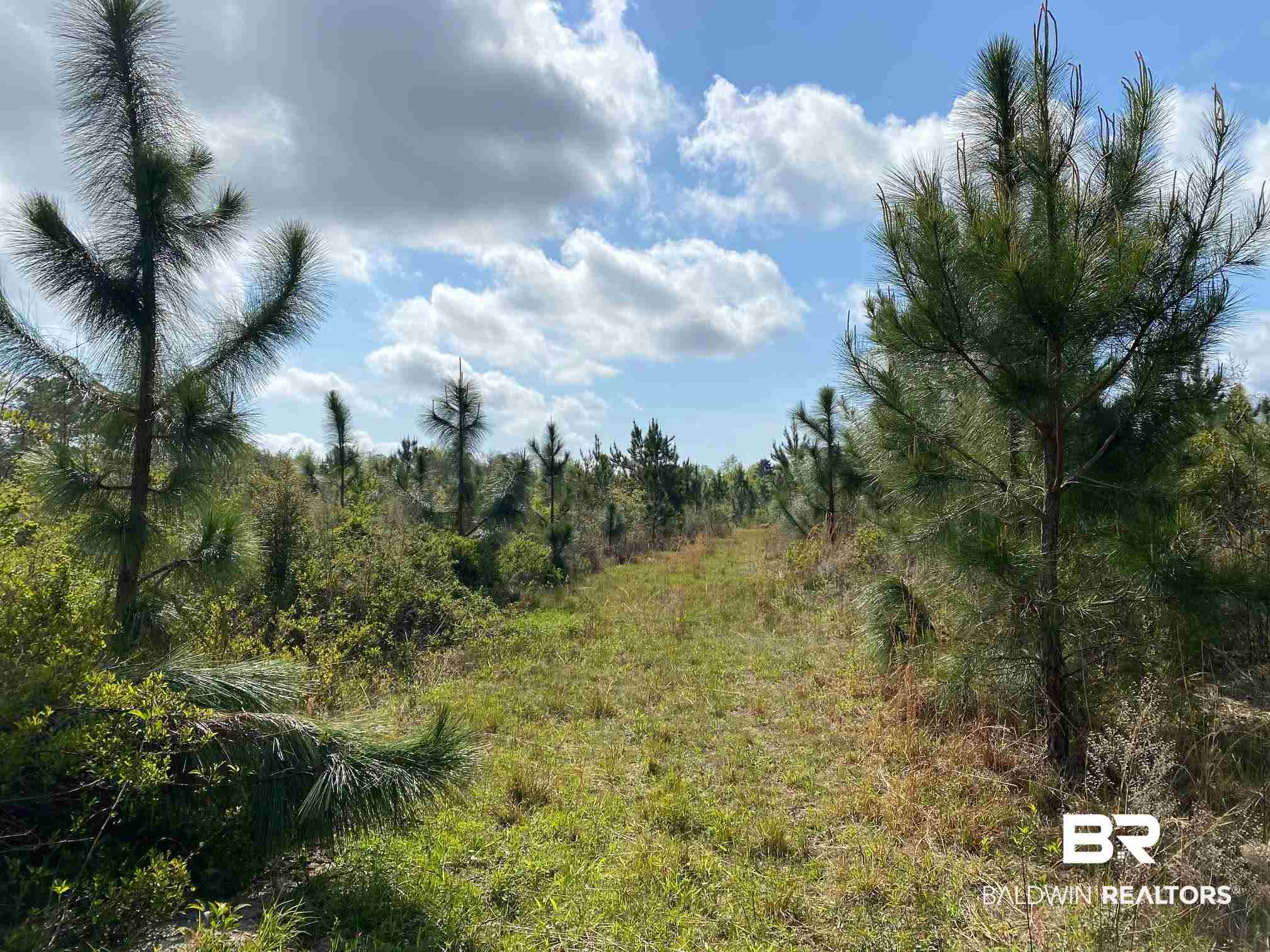 1069 Cemetery Road Range, AL 36473 - Photo 23 of 26