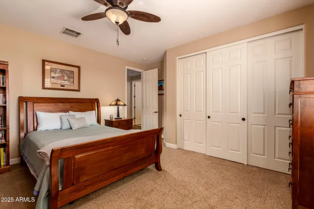 a view of a park with large trees