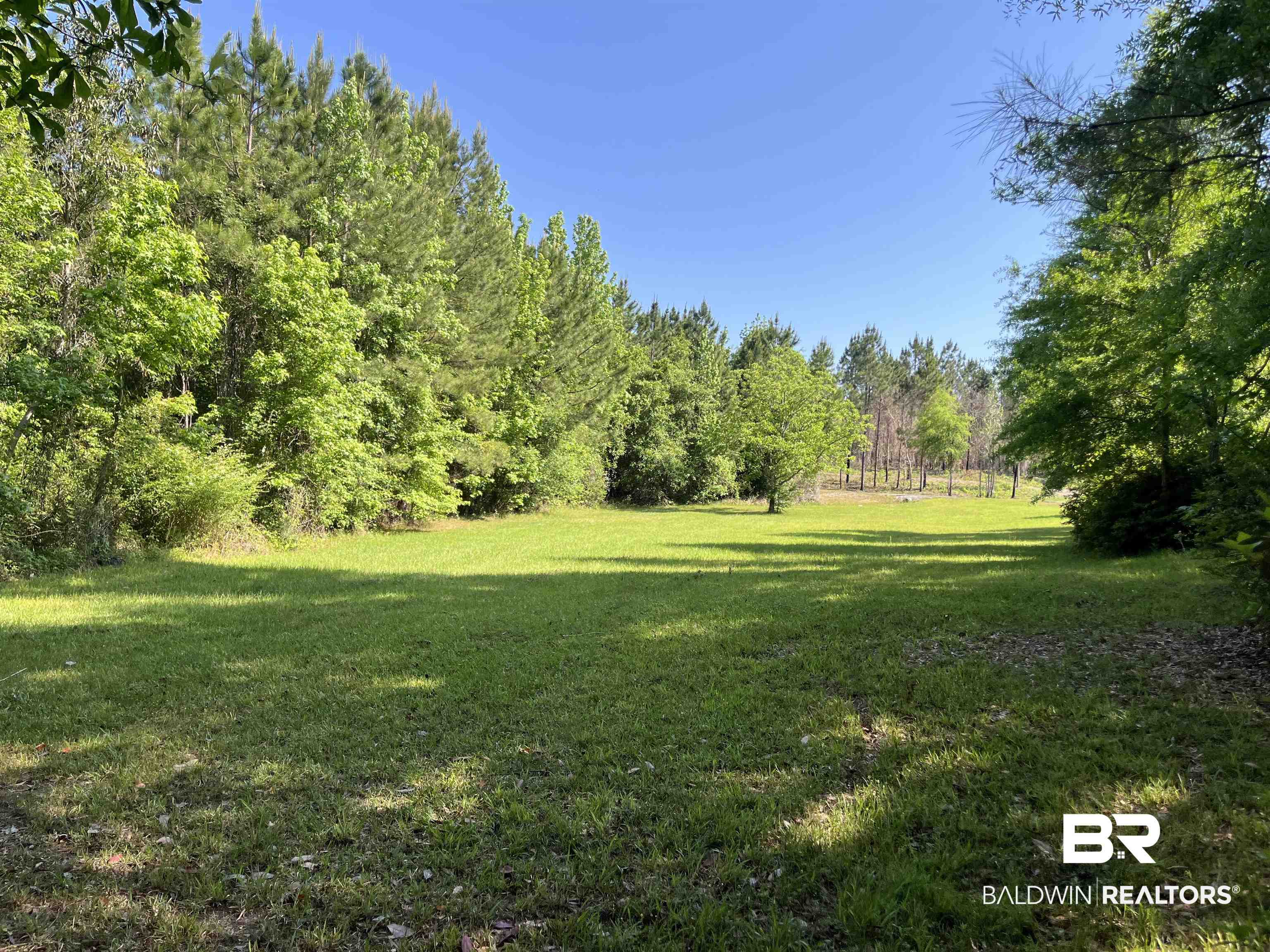 315 Dawkins Road Brewton, AL 36426 - Photo 10 of 19 View of yard