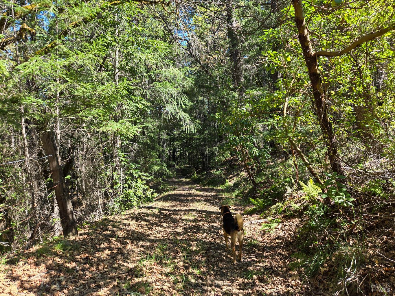 28201 Sherwood Road Willits, CA 95490 - Photo 13 of 17
