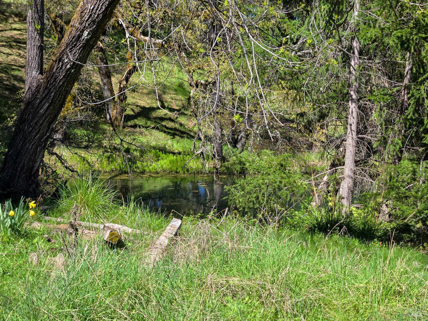 28201 Sherwood Road Willits, CA 95490 - Photo 6 of 17