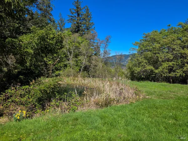 a view of a lush green space