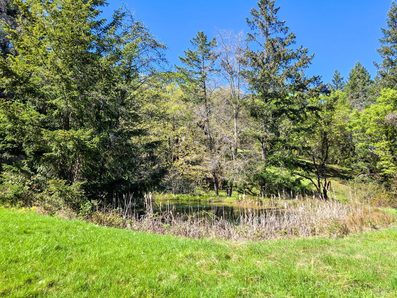 28201 Sherwood Road Willits, CA 95490 - Photo 8 of 17