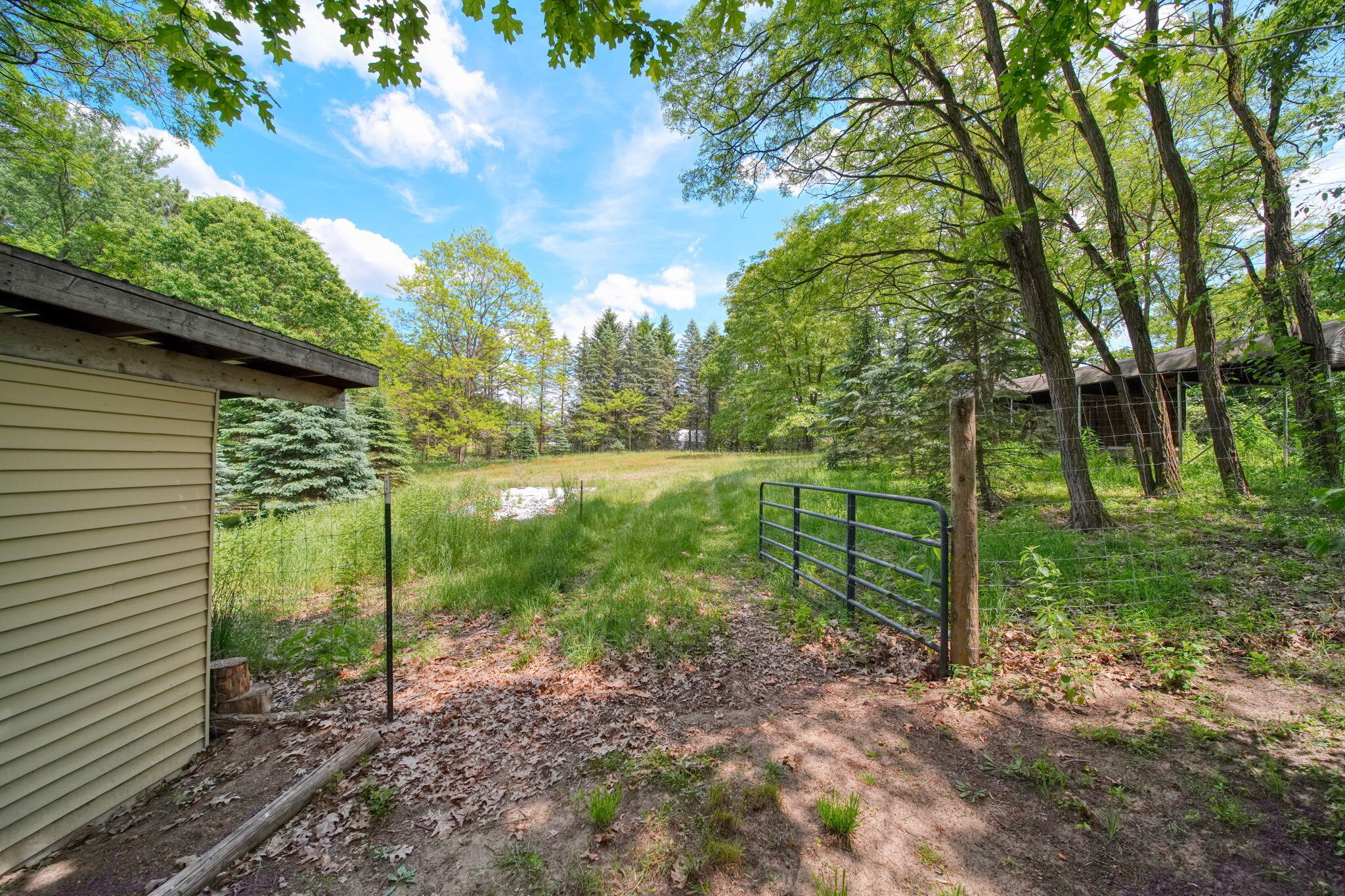 7925 Seymour Road Grass Lake, MI 49240 - Photo 62 of 75 76-web-or-mls-DSC05179_HDR