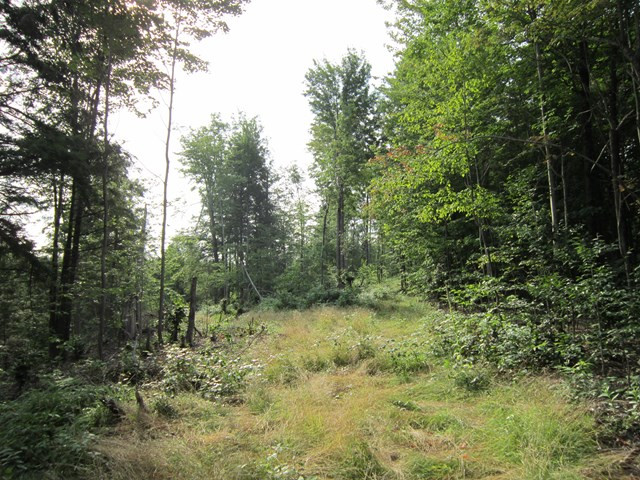 374 Savage Road North Lawrence, NY 12967 - Photo 2 of 7 Gallery Image 2