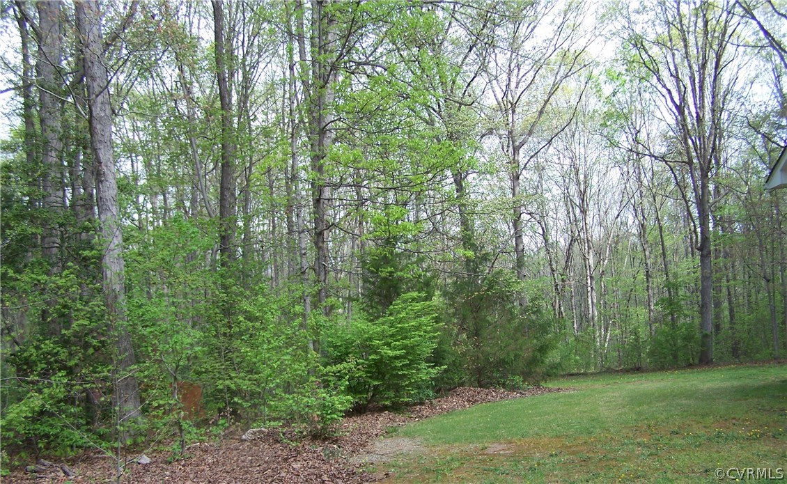 2383 Sizer Road Beaverdam, VA 23015 - Photo 4 of 29 a view of a lush green forest