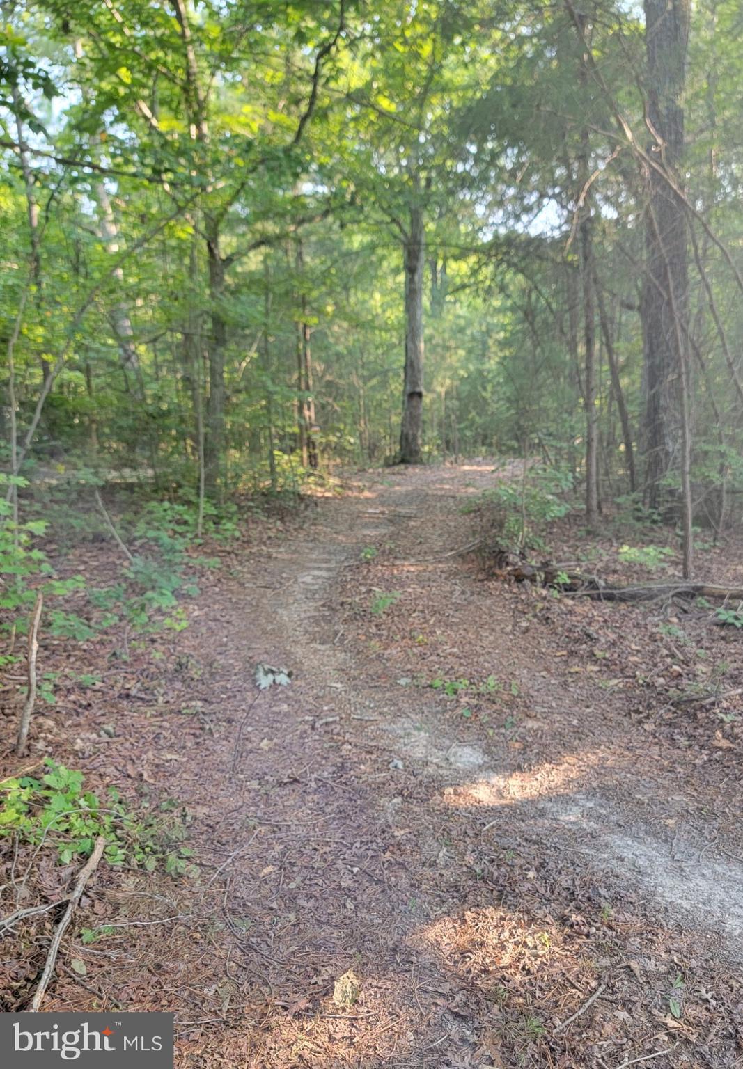 Trails throughout