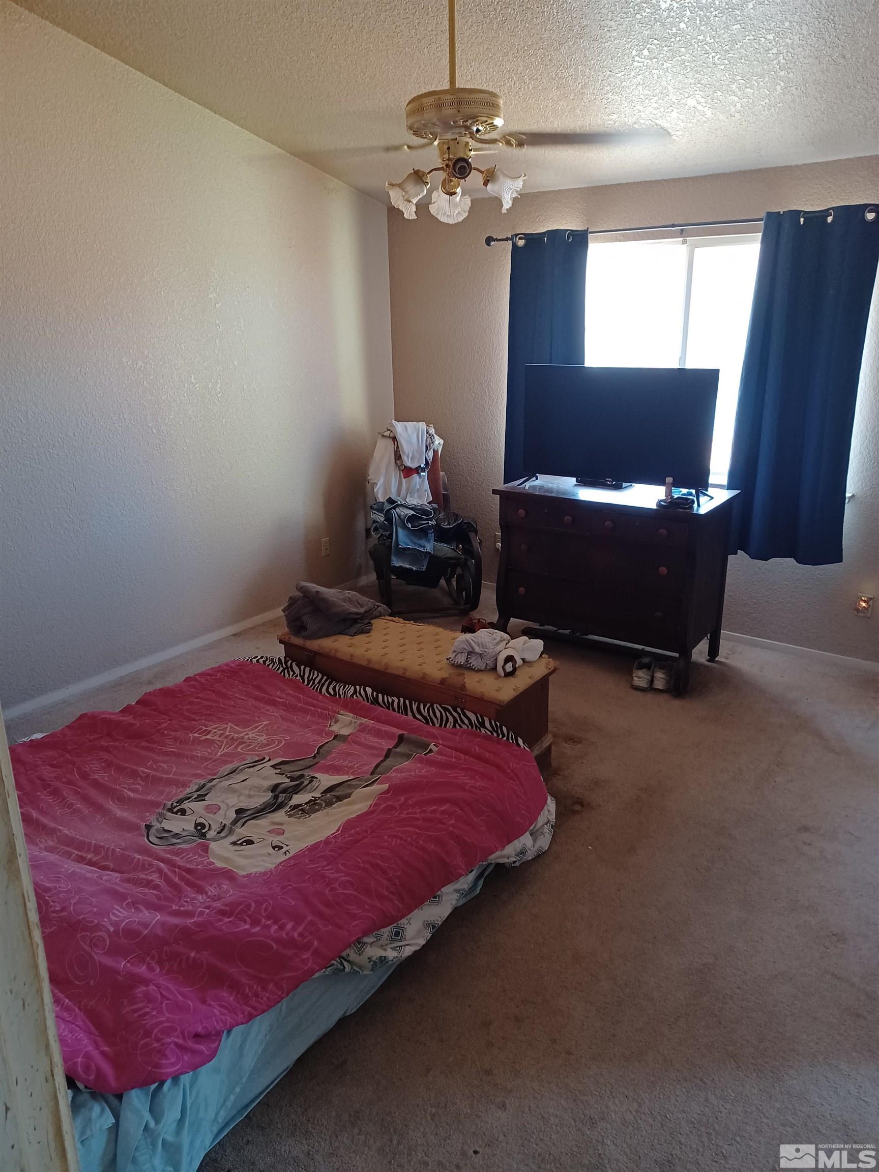 770 Long Valley Road Gardnerville, NV 89460 - Photo 11 of 18 Photo 11