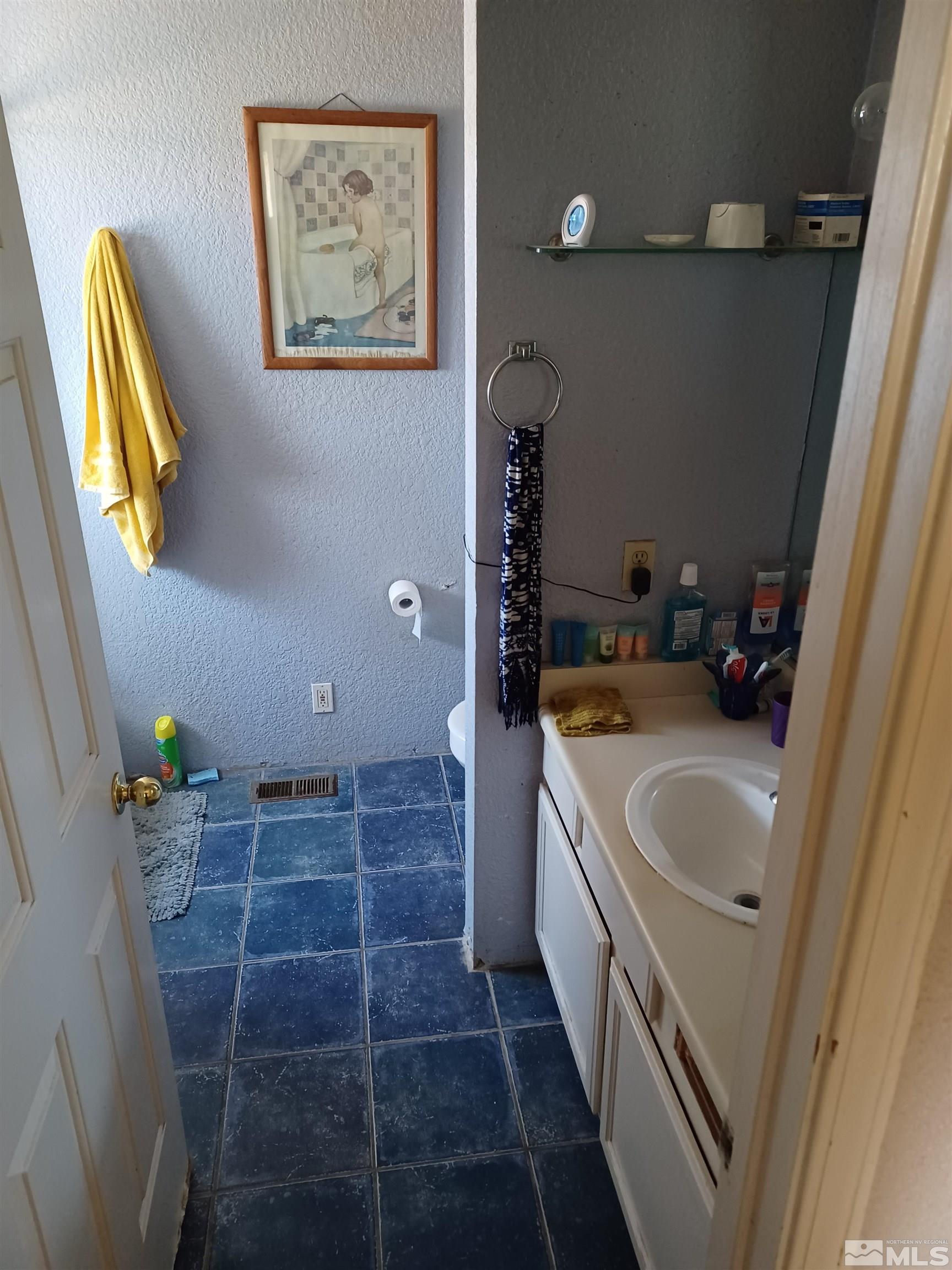 770 Long Valley Road Gardnerville, NV 89460 - Photo 13 of 18 Photo 13