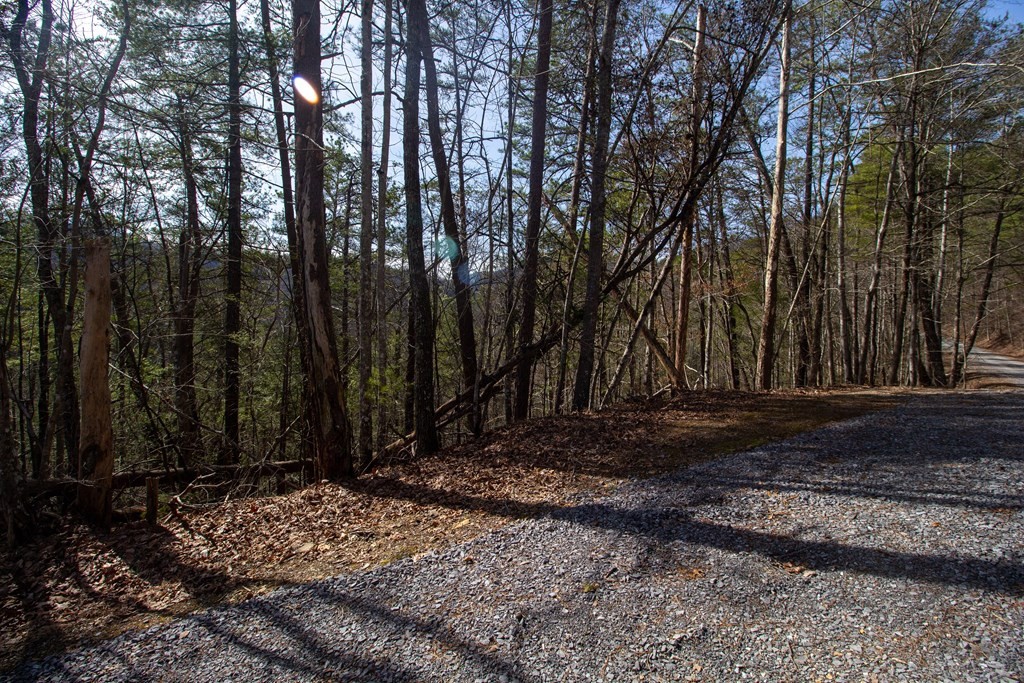 10 Sunset Road Sevierville, TN 37862 - Photo 9 of 17