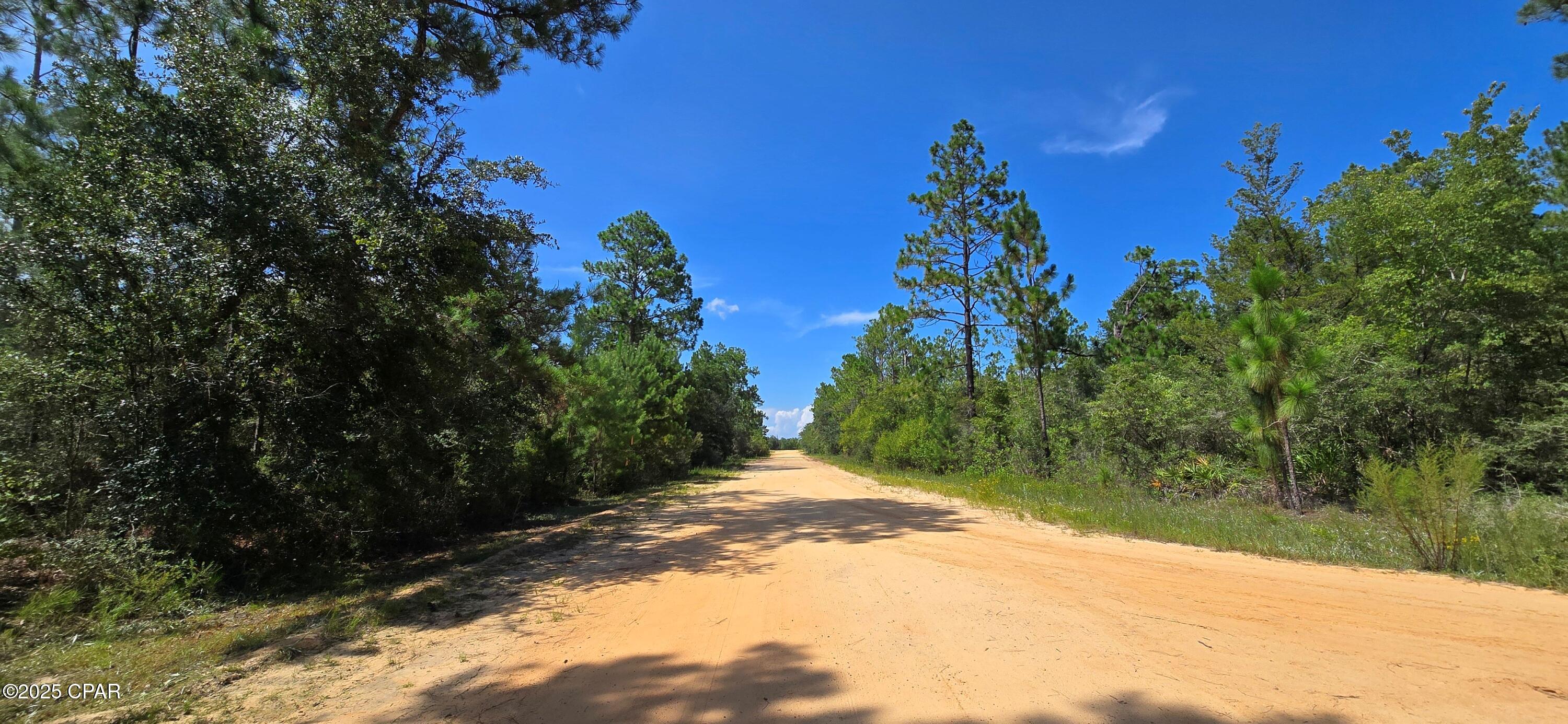 Lot 2 Jackson Road Marianna, FL 32448 - Photo 8 of 13 Gallery Image 8