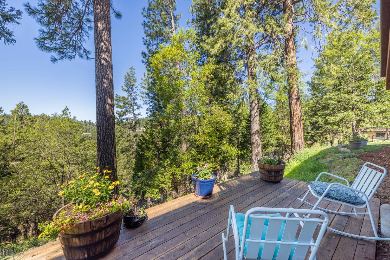 5015 Shooting Star Road Pollock Pines, CA 95726 - Photo 3 of 44