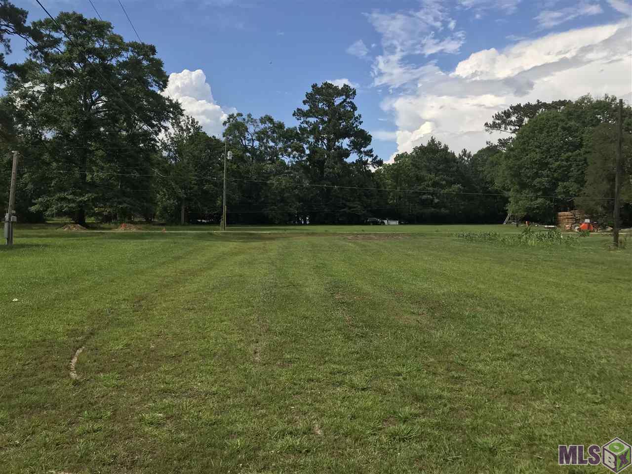 10705 Dunmark Road Denham Springs, LA 70706 - Photo 2 of 6