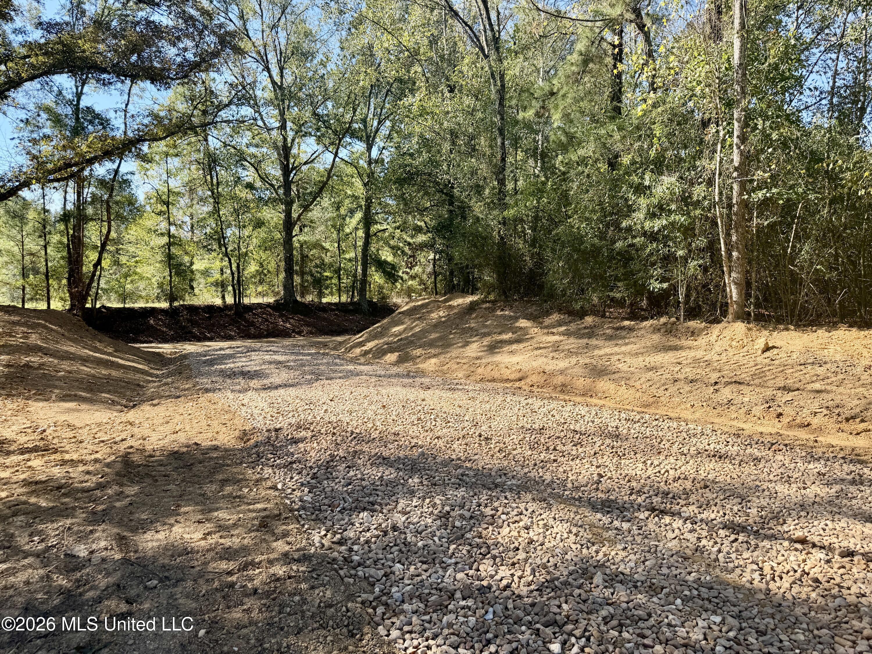 Williams Road Carthage, MS 39051 - Photo 2 of 13 IMG_0940