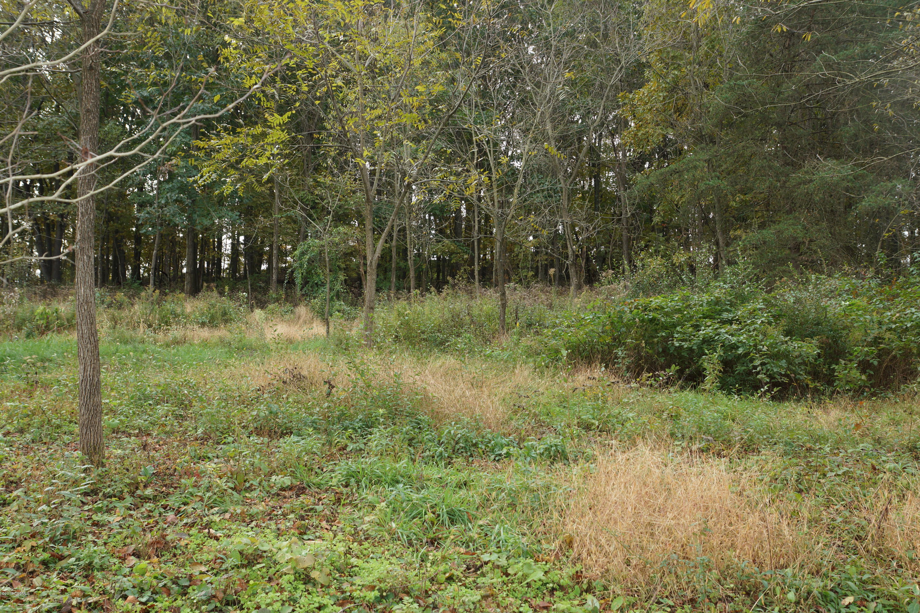 Lot 4 Milroy Road New Columbia, PA 17856 - Photo 23 of 27