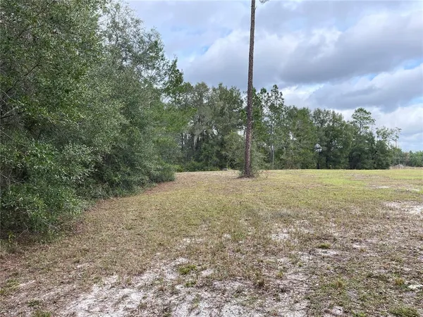 a view of a field