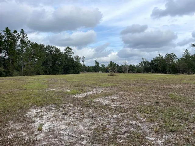 a view of a field with an trees in back