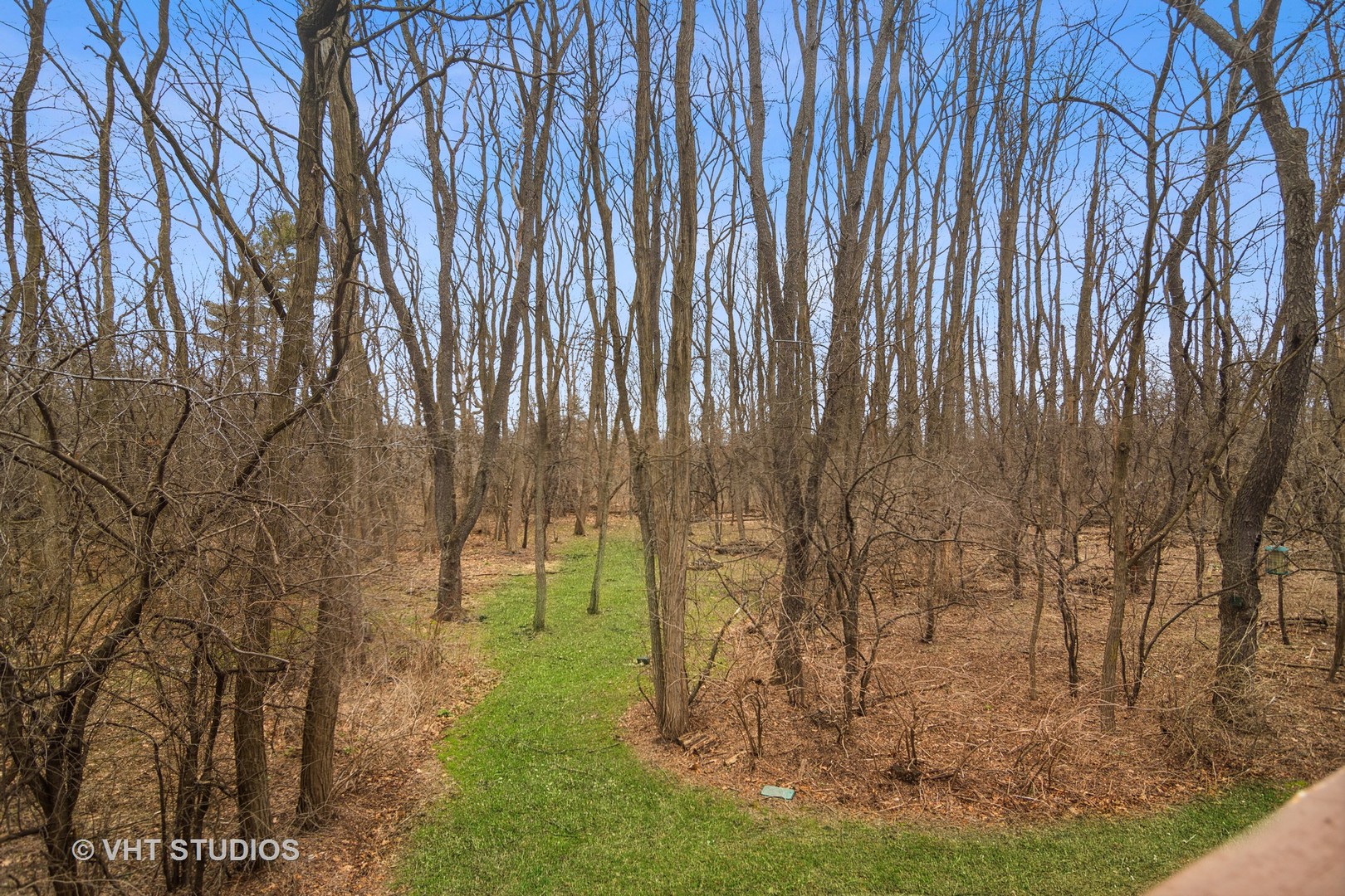 902 Bridle Lane Cary, IL 60013 - Photo 50 of 60 a backyard of a house with lots of green space