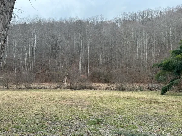 a view of a backyard of the house