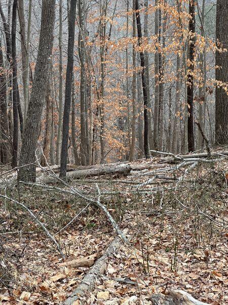 3546 Prillaman Switch Road Ferrum, VA 24088 - Photo 4 of 8 a view of house with a street