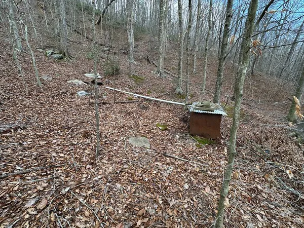a view of a dry yard