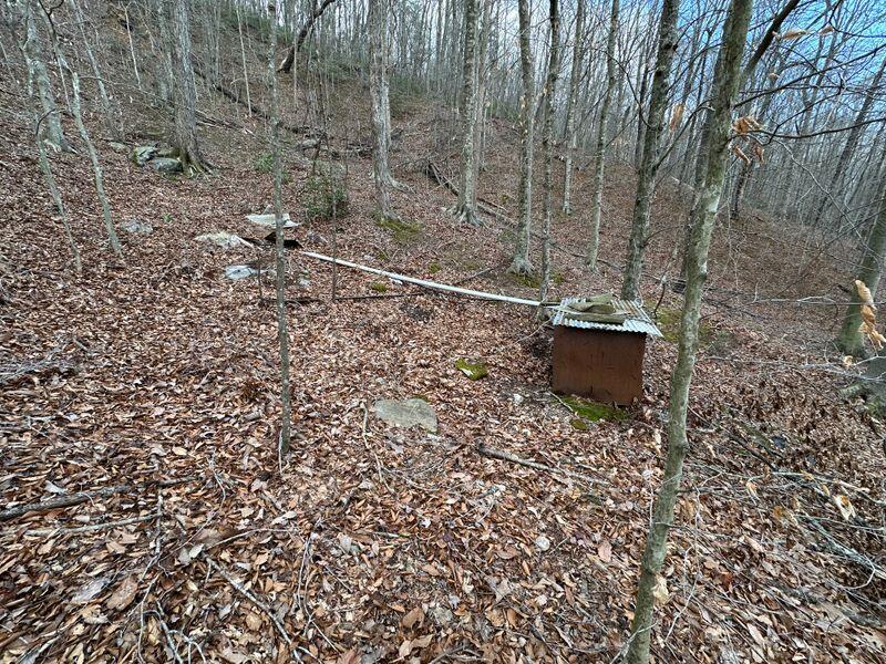 3546 Prillaman Switch Road Ferrum, VA 24088 - Photo 5 of 8 a backyard of a house with lots of green space