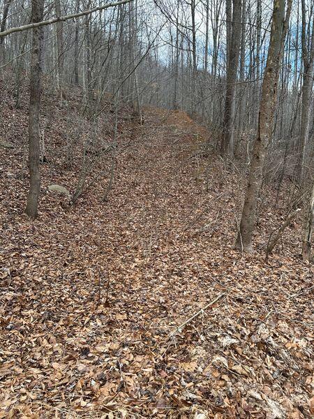 3546 Prillaman Switch Road Ferrum, VA 24088 - Photo 6 of 8 a view of a dry yard