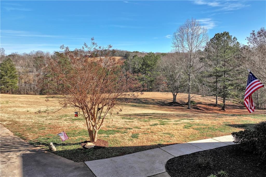 321 Chumbley Road Dawsonville, GA 30534 - Photo 55 of 65 a view of a swimming pool with an ocean view