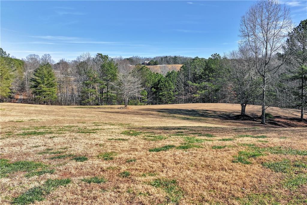 321 Chumbley Road Dawsonville, GA 30534 - Photo 56 of 65 a view of a outdoor space
