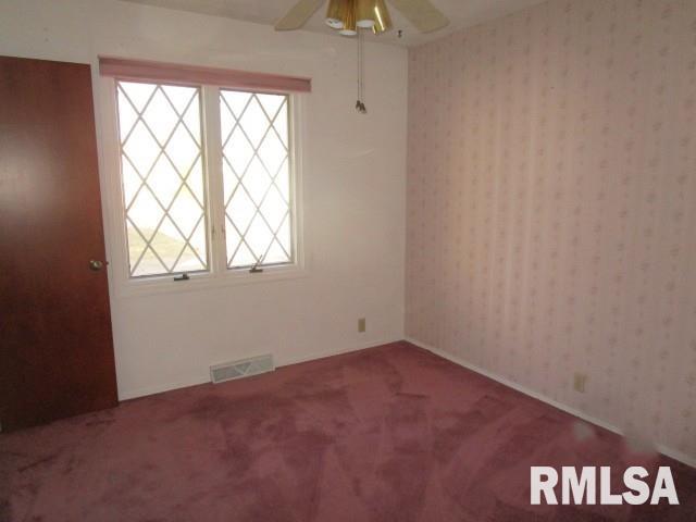 302 Palm Street Canton, IL 61520 - Photo 11 of 20