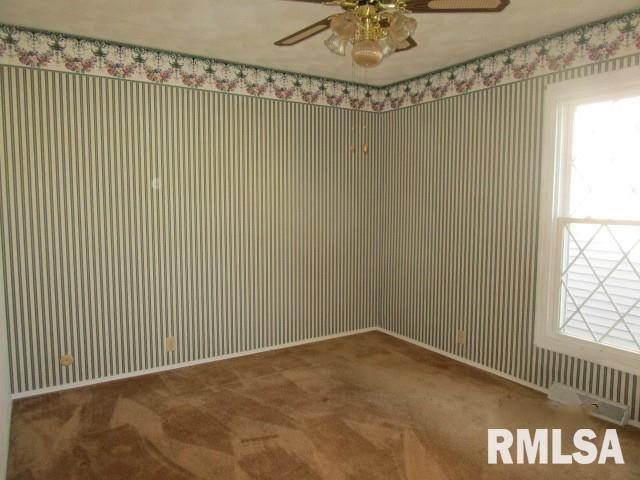 302 Palm Street Canton, IL 61520 - Photo 12 of 20