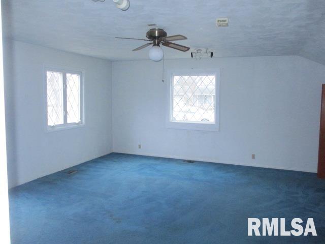 302 Palm Street Canton, IL 61520 - Photo 16 of 20