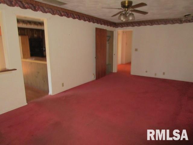 302 Palm Street Canton, IL 61520 - Photo 8 of 20