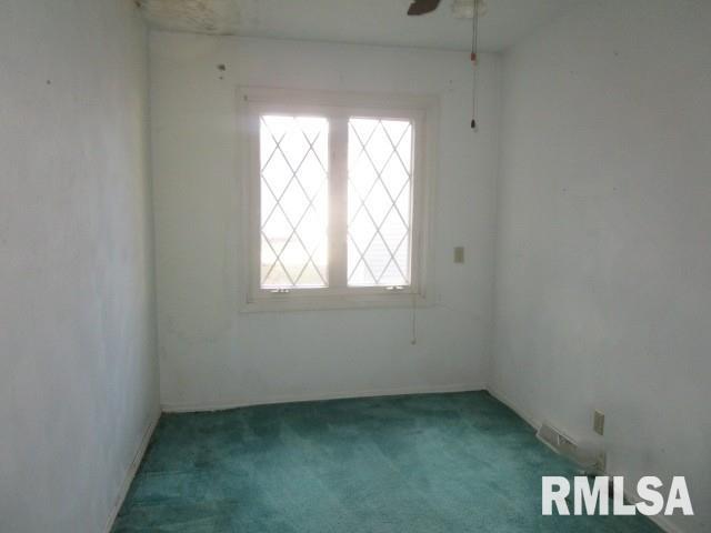 302 Palm Street Canton, IL 61520 - Photo 10 of 20