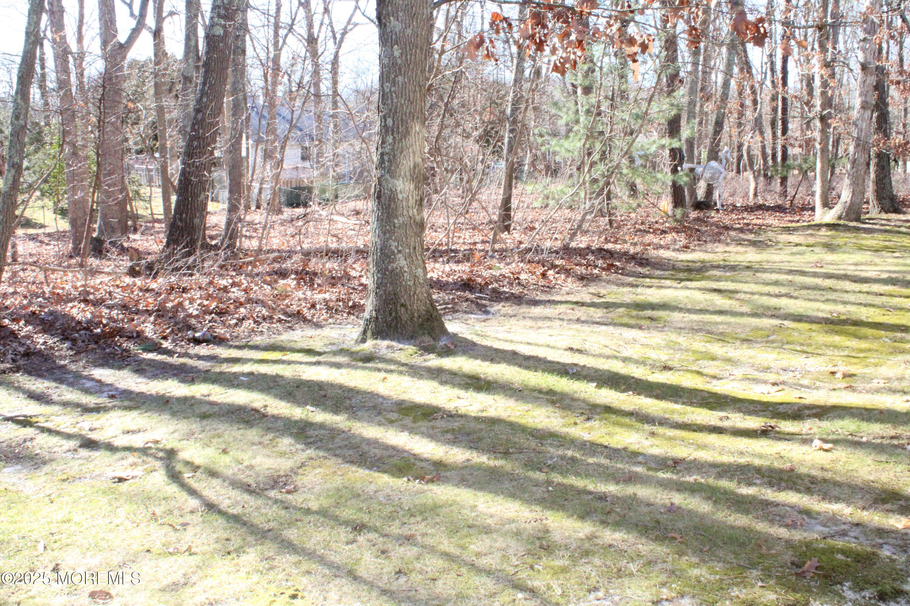 94 Azalea Circle Jackson, NJ 08527 - Photo 29 of 31 a view of a house with snow on the ground