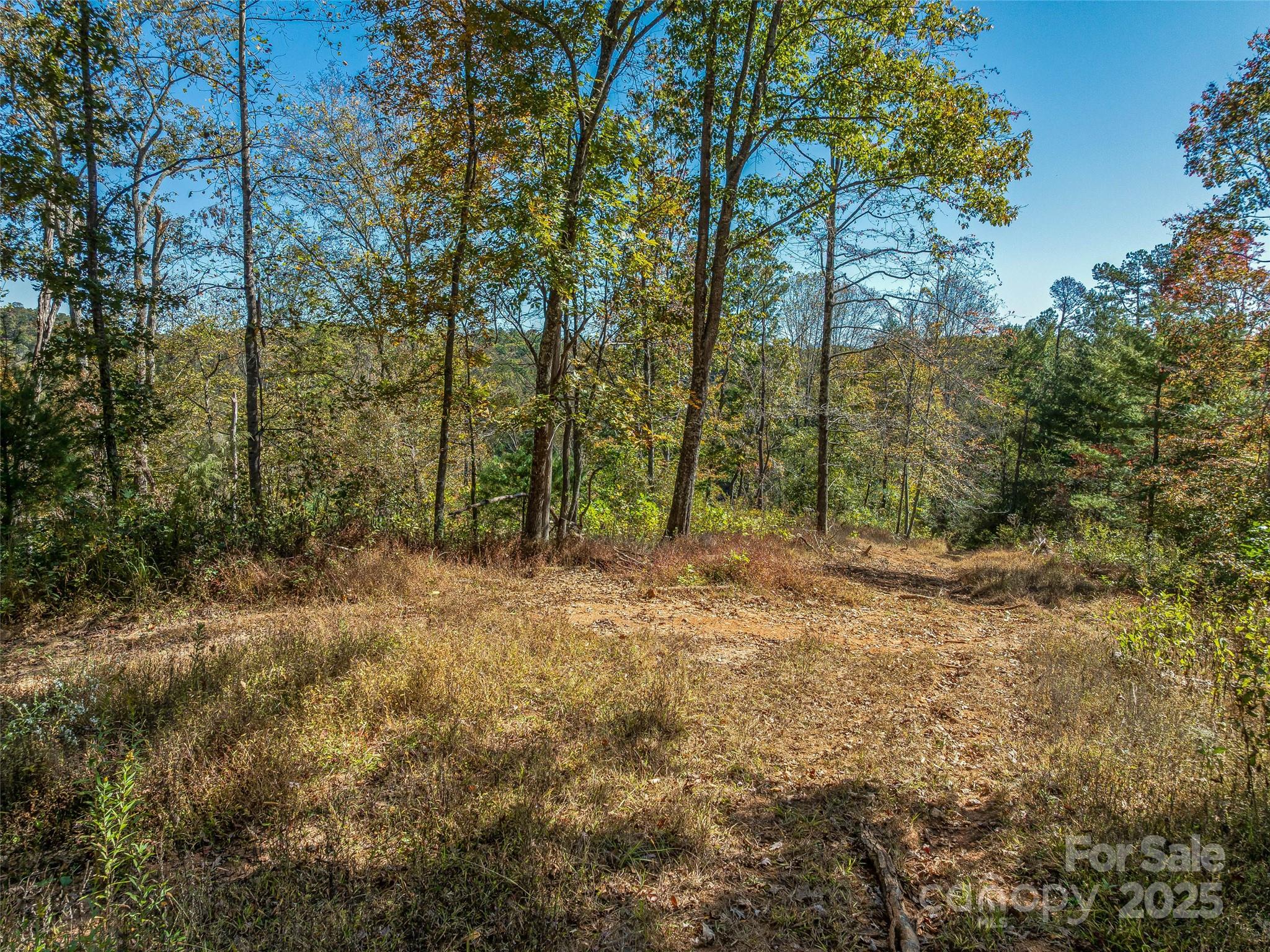 99999 Meadows Town Road Marshall, NC 28753 - Photo 12 of 47