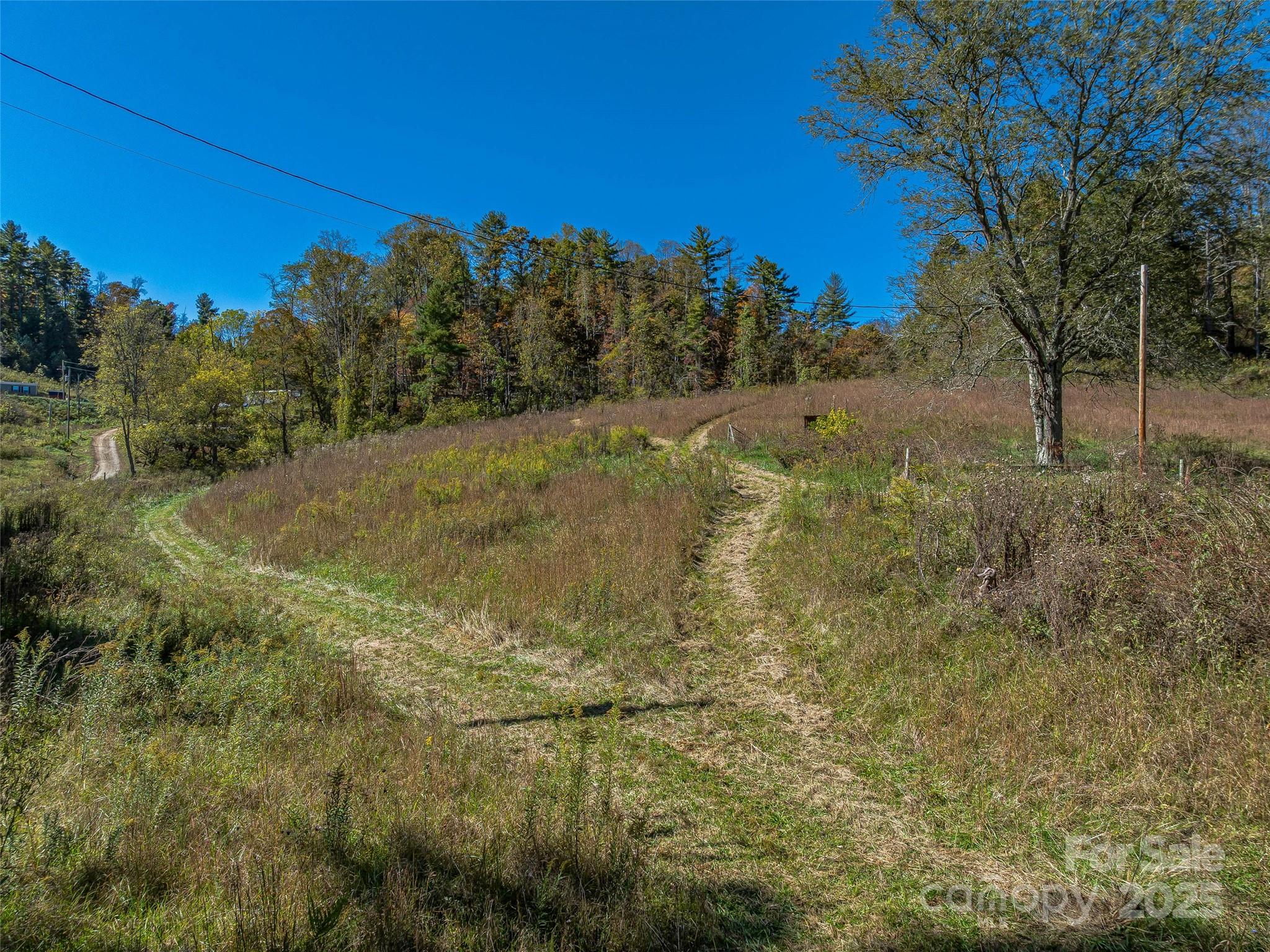 99999 Meadows Town Road Marshall, NC 28753 - Photo 13 of 47