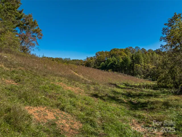 $700,000 | 99999 Meadows Town Road, Marshall, NC 28753