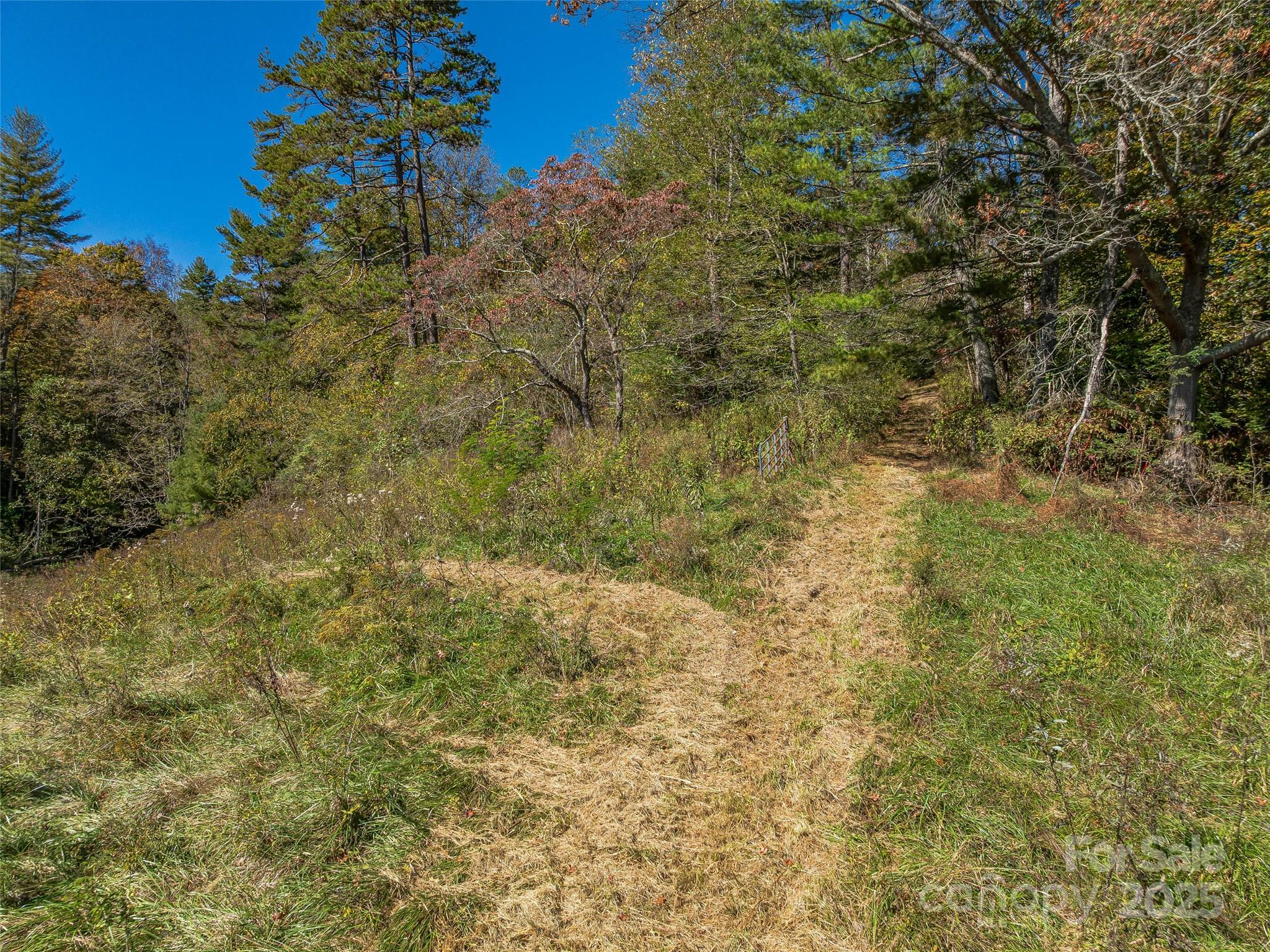 99999 Meadows Town Road Marshall, NC 28753 - Photo 15 of 47